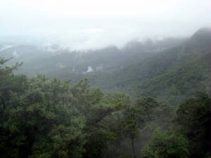 agumbe.jpg