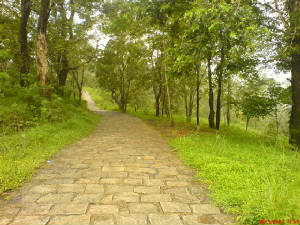 wayanad1.jpg